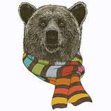 Bear with Scarf T Shirt