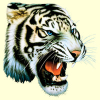 White Tiger (full size print) T Shirt