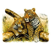 Leopard And Cub T Shirt