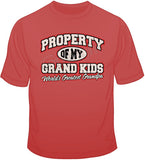 Property Of My Grandkids - Grandpa T Shirt