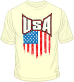 USA Flag Distressed T Shirt
