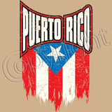 Puerto Rico Distressed Flag T Shirt