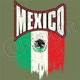 Mexico Distressed Flag T Shirt