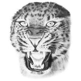 Bite You - Leopard T Shirt