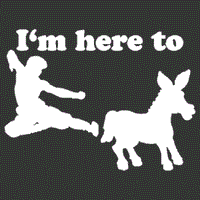 I'm Here To Kick Some Ass T Shirt