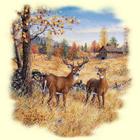 Colors of Autumn T Shirt