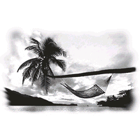 Out on A Limb - Solar Trans T Shirt