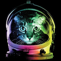Space Cat T Shirt