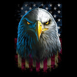 Eagle Stare (oversized print) T Shirt