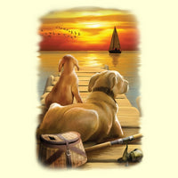 Dockside Sunset T Shirt