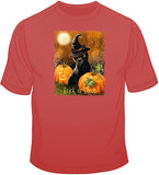 Trick or Treat - Cat T Shirt