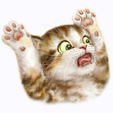 Surprised Cat T Shirt