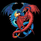 Duel Dragon  T Shirt
