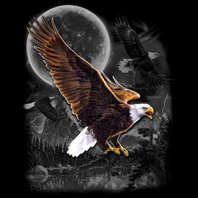 Eagle Wilderness  T Shirt