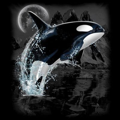 Killer Whale Wilderness  T Shirt