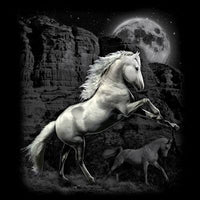 White Horse Wilderness  T Shirt