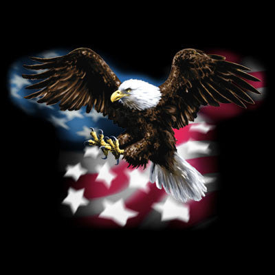 American Eagle w/ Flag T Shirt