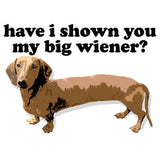 Have I Shown You My Big Wiener? T Shirt