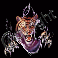Rip Out - Tiger T Shirt