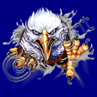 Rip Out-Eagle T Shirt