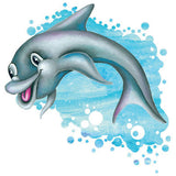 Splash Dolphin