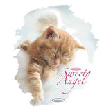 Sweet Angel-Youth