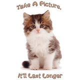Take a Picture- Kitten T Shirt